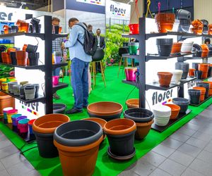 Targi Zieleń to życie 2025 - rośliny doniczkowe