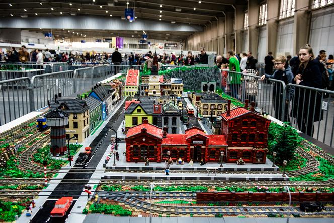 Targi HOBBY i Animal Fest w jednym miejscu. MTP oferują wspaniałą zabawę