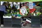 Truskawki za 15 zł, a czereśnie po 30 zł. Ceny na bazarach w Warszawie szokują