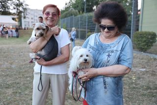 Tak się bawią Bronowice! Za nami Ogólnopolski Lubelski Jarmark Bronowicki 2025