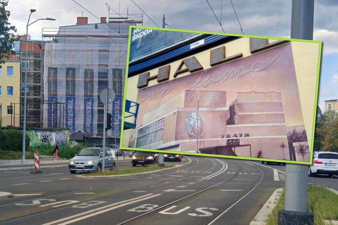 Mural z Pleciugą po 5 latach zniknął z kamienicy przy al. Wyzwolenia