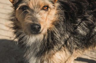 W oczekiwaniu na miłość