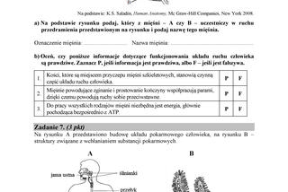 Matura 2018 z biologii. Poziom podstawowy - arkusze CKE