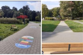 Nowe ławki w Parku Centralnym. Gdzie dokładnie je znajdziemy? [ZDJĘCIA]