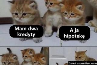 Najlepsze memy 2023 roku. Z tego śmialiśmy się w mijającym roku