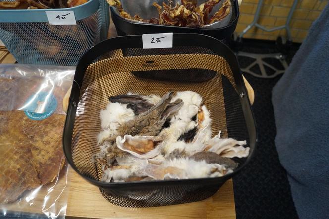 Psiaki opanowały Halę Targową! Za nami wyjątkowe targi 