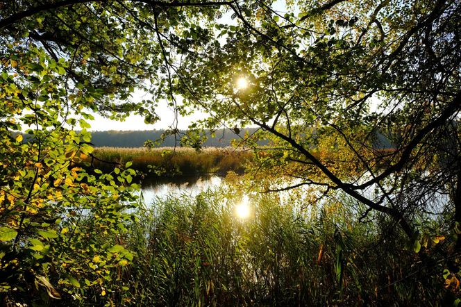 „Ateny Północy” chcą odzyskać blask! Sąsiedztwo Rosji w tym nie pomaga