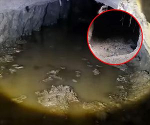 Migranci wykopali tunel pod płotem na granicy! Strażnicy pokazali film