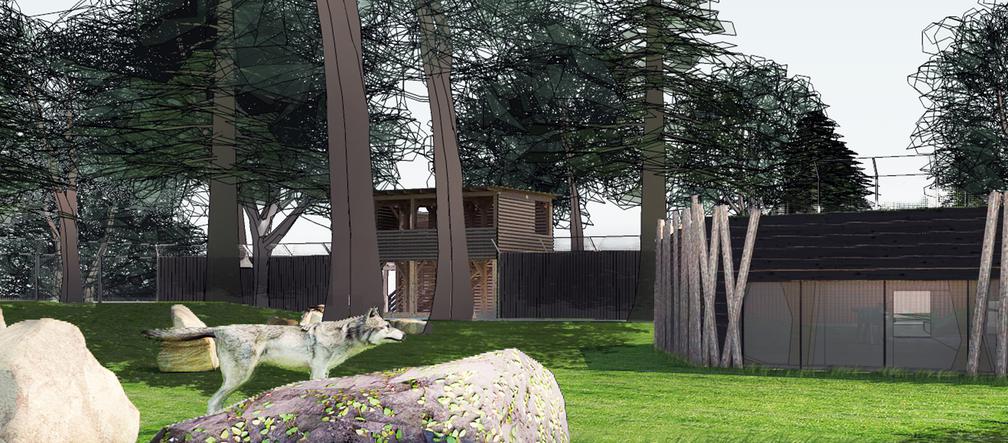 Widok z wybiegu na punkty widokowe