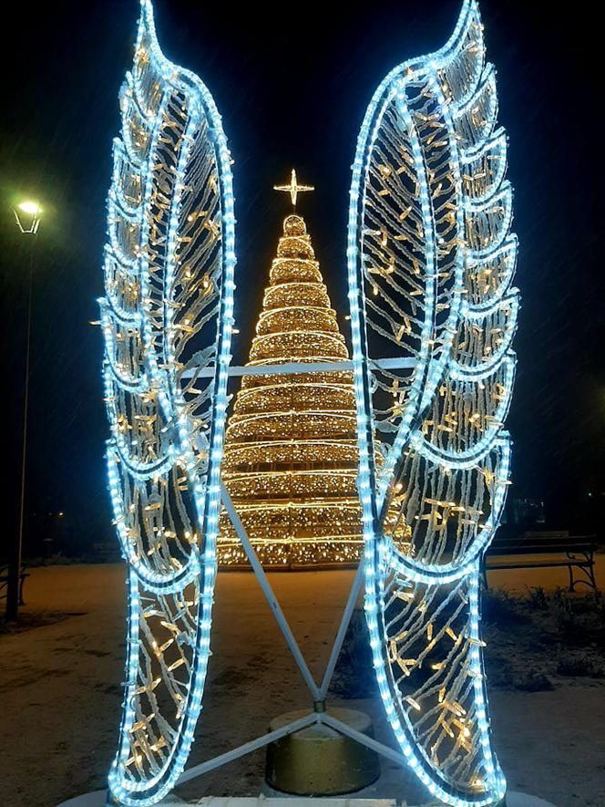 Ze szronem są jeszcze piękniejsze! Świąteczne iluminacje w Łomży