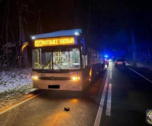 Potrącenie pieszego przez autobus w Bieruniu 