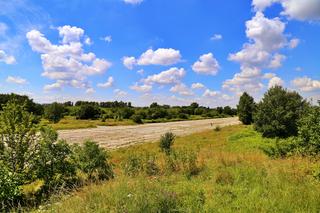 Zielone płuca Krakowa będą zabetonowane? Byłe lotnisko Rakowice Czyżyny ma stać się dojazdem do Małopolskiego Centrum Nauki