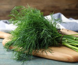 Przez cały czerwiec marynuje koperek w ten sposób. W 24 godziny mam pyszny i aromatyczny marynowany koperek, który przez długi czas będzie świeży 