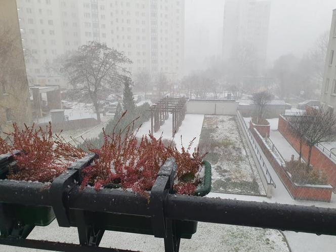 Burza śnieżna nad Warszawą 17.01. Białe zimno dopadło stolicę! Te dzielnice padły ofiarą [FOTO]