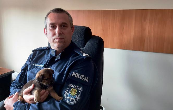 Ktoś porzucił trzy szczeniaki na ulicy. Policjanci zaopiekowali się pieskami