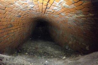 Kolejne ciekawe znalezisko. Wpadli na to archeolodzy pracujący przy Ogrodowej