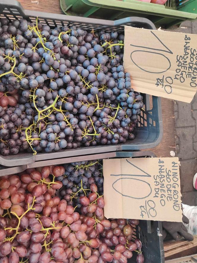 Winogrona na łódzkich targowiskach i w marketach. Sprawdź, ile kosztują [ZDJĘCIA]