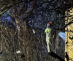 Tragedia na terenie ogródków działkowych. Altanka stanęła w ogniu. W srodku znaleźli zwęglone ciało