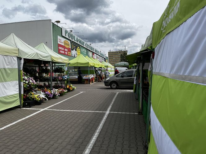 Ceny na bazarach w Białymstoku. Tyle zapłacimy za warzywa i owoce