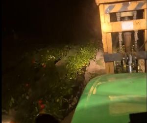 Rolnik rozdają paprykę za darmo! Ceny na skupie to dramat