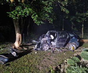 22-latka bez prawa roztrzaskała się na drzewie. Koszmarny widok