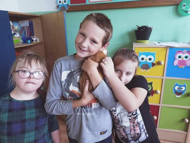 RODOTERAPIA - czyli terapia gryzoniami w Szkole Podstawowej Specjalnej nr 19 w Kaliszu