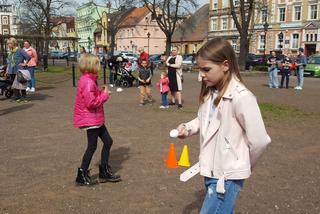 Zające chodzące i z czekolady w centrum Leszna