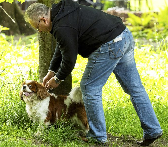 Marek Jakubiak. Pies pomaga mu w kampanii