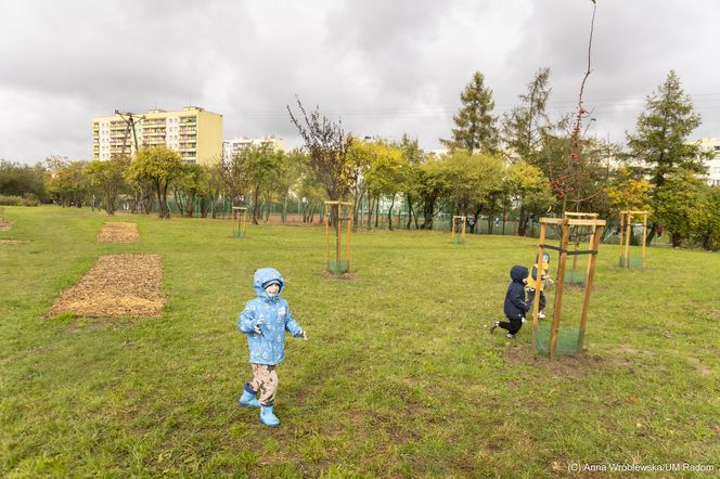 Park na osiedlu Prędocinku 