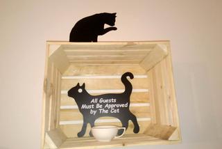 Katowice: Pierwsza na Śląsku Kocia Kawiarnia działa już trzy tygodnie! [ZDJĘCIA]