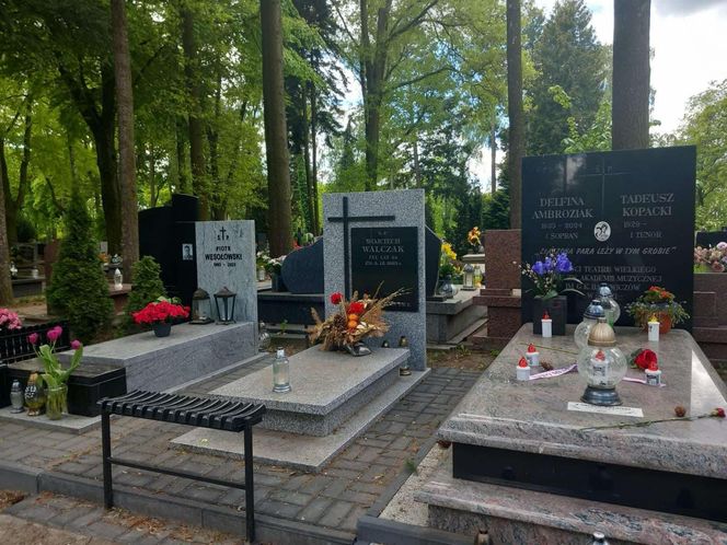 Aleja Zasłużonych Doły
