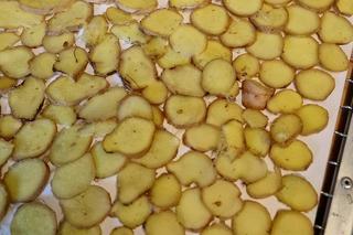 Imbir może pomóc w walce z padaczką lekooporną 