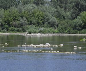 Niski stan wody w Wiśle