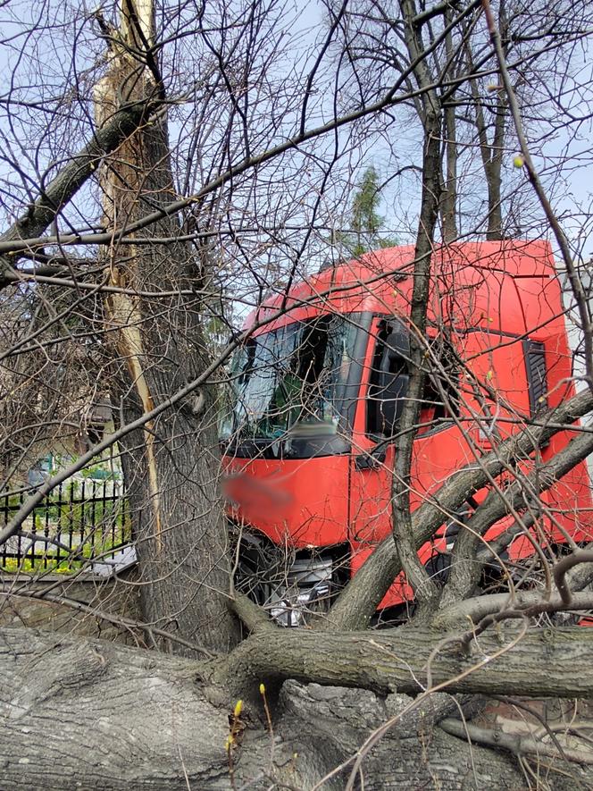 Nowy Sącz. Ciężarówka uderzyła w drzewo i zwaliła je na prywatną posesję. Jedna osoba poszkodowana