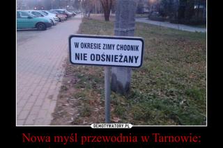 Najlepsze memy internautów o Tarnowie