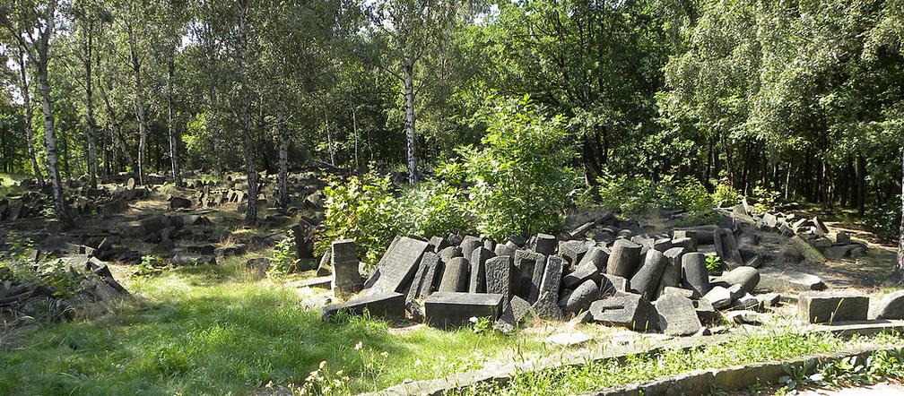 Najciekawsze miejsca na... Targówku! Zobacz TOP 7 tajemnic dzielnicy [GALERIA]