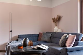 Stonowane mieszkanie w Katowicach