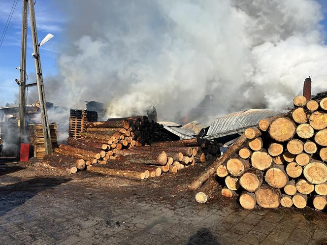 81 strażaków w akcji. Trzeba było ściągnąć specjalistyczny sprzęt