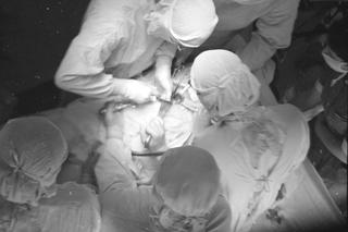 QUIZ PRL. Tak pracowano w Polsce Ludowej