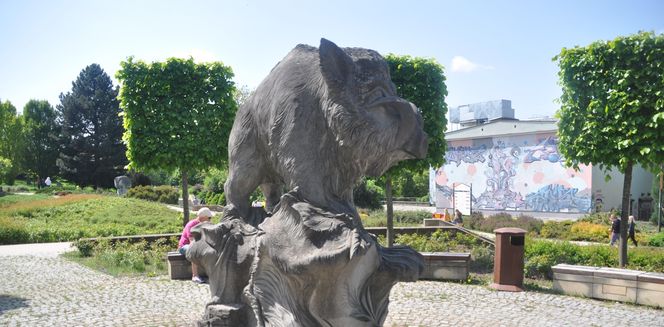 Pomnik Dzika Kiełka w Kielcach