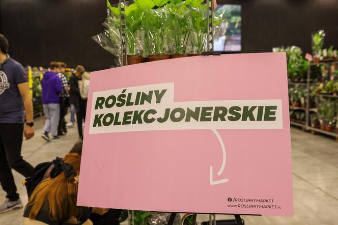 Festiwal Roślin w MCK w Katowicach 
