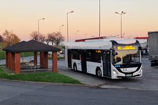 Wrocławscy pasażerowie mogą spotkać m.in. przy pl. Dominikańskim, al. Kromera i na Psim Polu