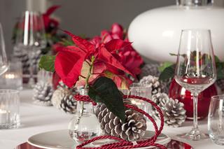 Gwiazda betlejemska: dekoracja świątecznego stołu. ZDJĘCIA