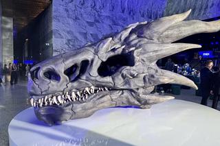 Premiera już 11 czerwca.