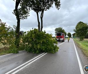 Porywisty wiatr na Podkarpaciu. Nadciągają silne wichury 