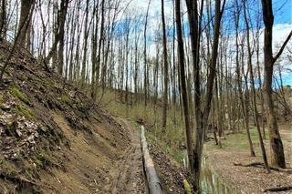Polskie Blair Witch Project. Ten las lepiej omijać szerokim łukiem