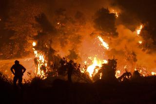 Pożary w Grecji MAPA - gdzie szaleją płomienie?
