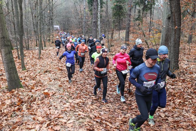 Katowicki City Trail jak zwykle ze znakomitymi biegaczami i biegaczkami. Zobacz zdjęcia ze sportowej imprezy