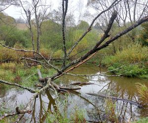 Nowa ścieżka przyrodniczo-historyczna otwarta w Bieszczadach 