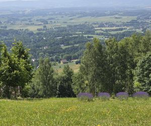 Wieża widokowa w Korczynie